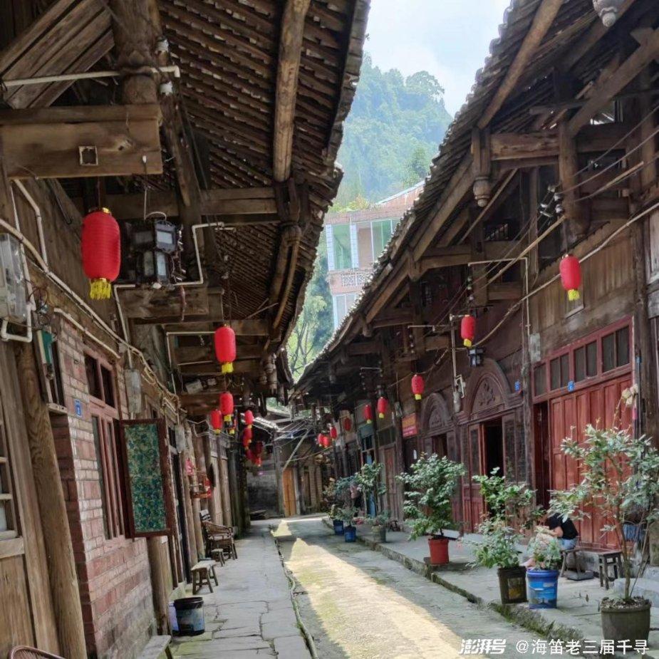 猫爷有新招?—这个像人又像鸟的是什么?问答平台